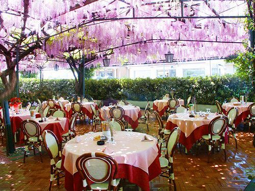 Ristorante Papa 3*