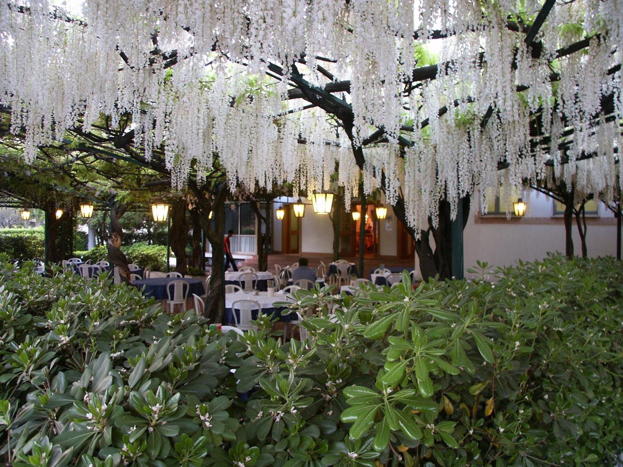 Hotel Ristorante Papa